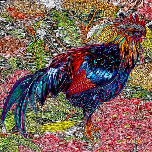 Rooster painting by artist Maureen Sheldon