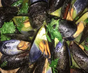 seafood 